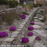 ścieżka z łupka szarogłazowego