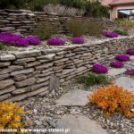 ścieżka z łupka szarogłazowego(2)