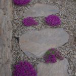 ścieżka z łupka szarogłazowego(3)