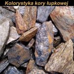 Kolorystyka kory łupkowej