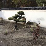 skały w ogrodzie japońskim(4)