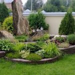 szarogłaz w ogrodzie