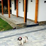 Elewacja cięta na 8 cm