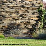 murek z łupka szrogłazowego