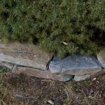 łupek gabionowy (3)