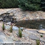 kamień ścieżkowy przy oczku wodnym(3)