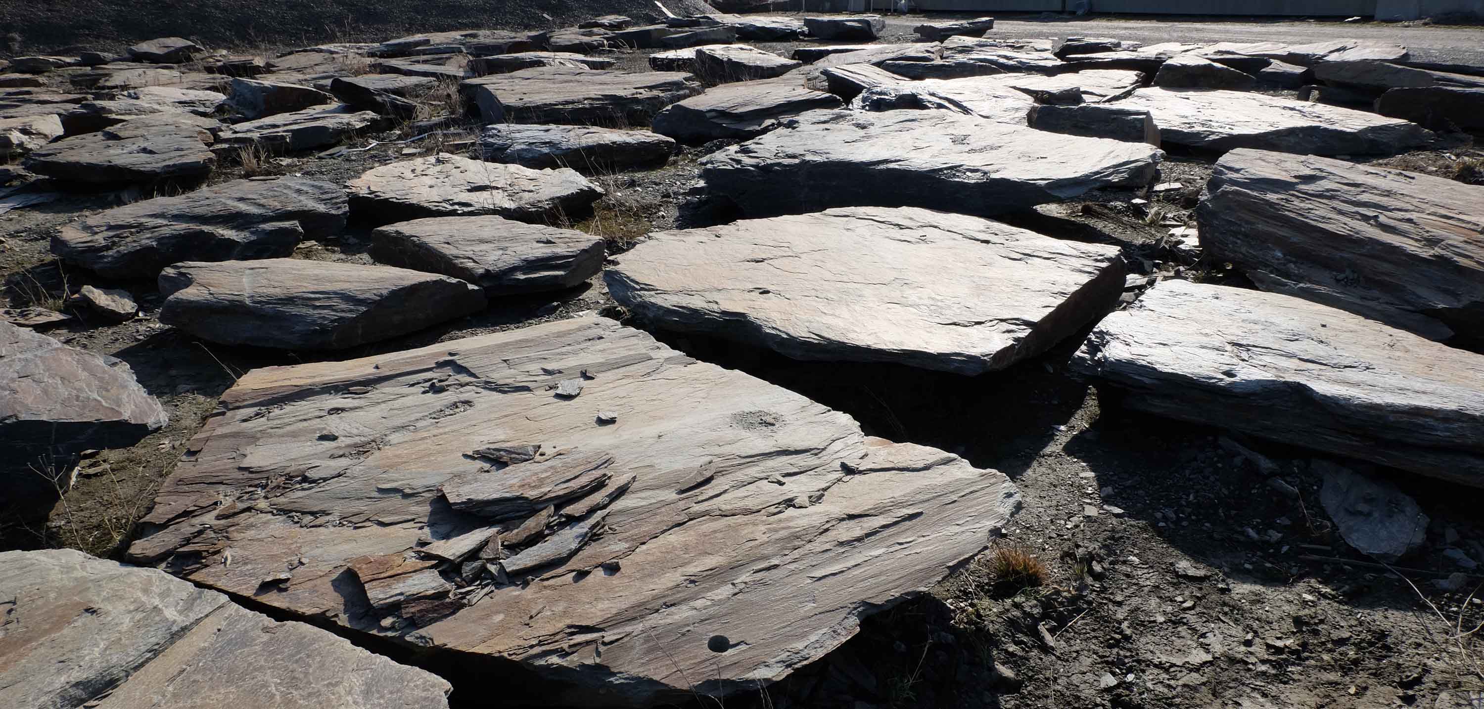 płyty kamienne z łupka (3)