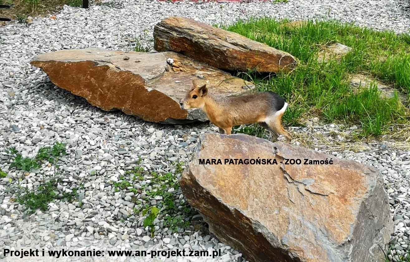 wielkie płyty z łupka i Mara Patagońska(2)