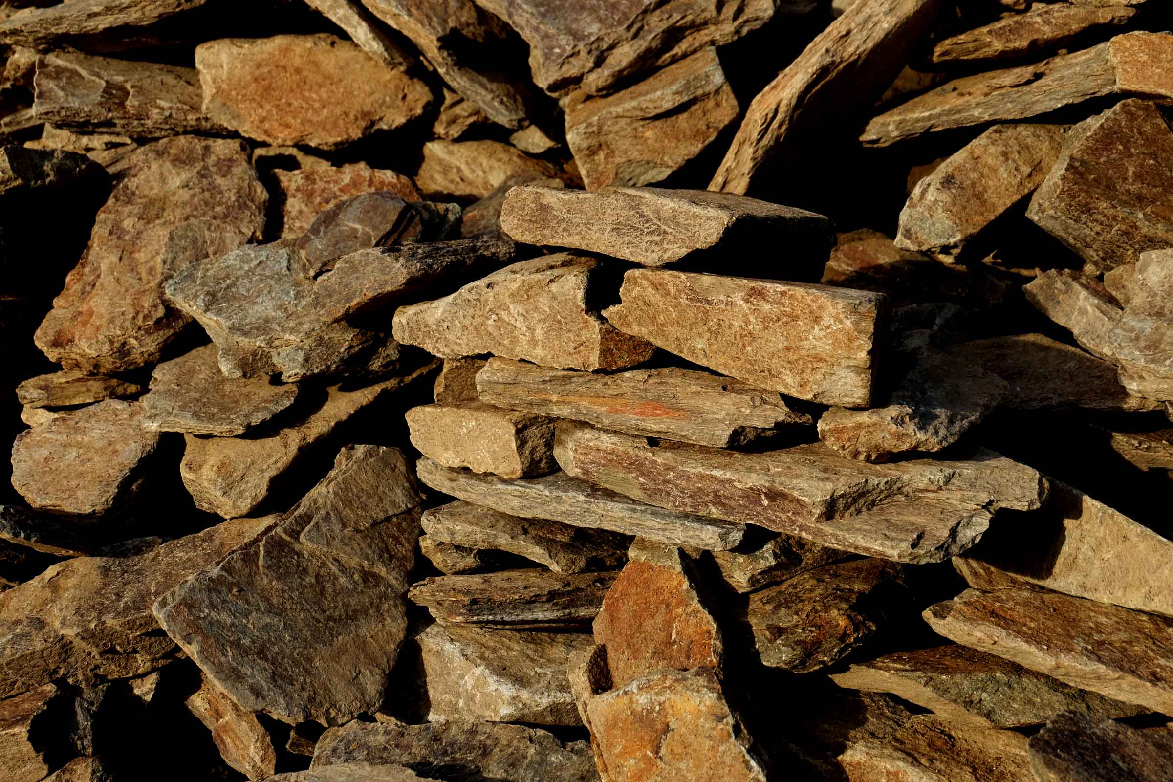 Łupek murowy mniejszy brąz(2)