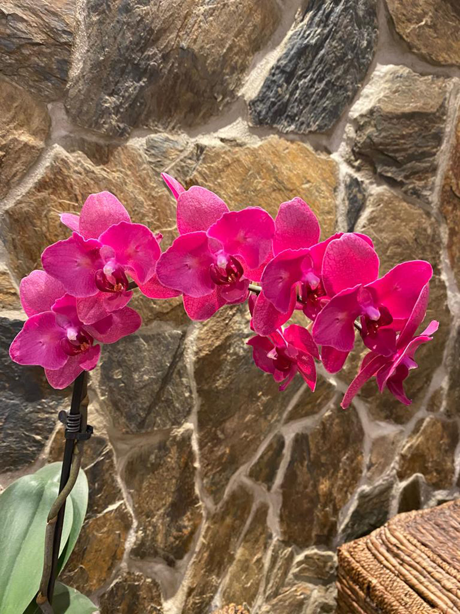 łupek elewacyjny wewnątrz