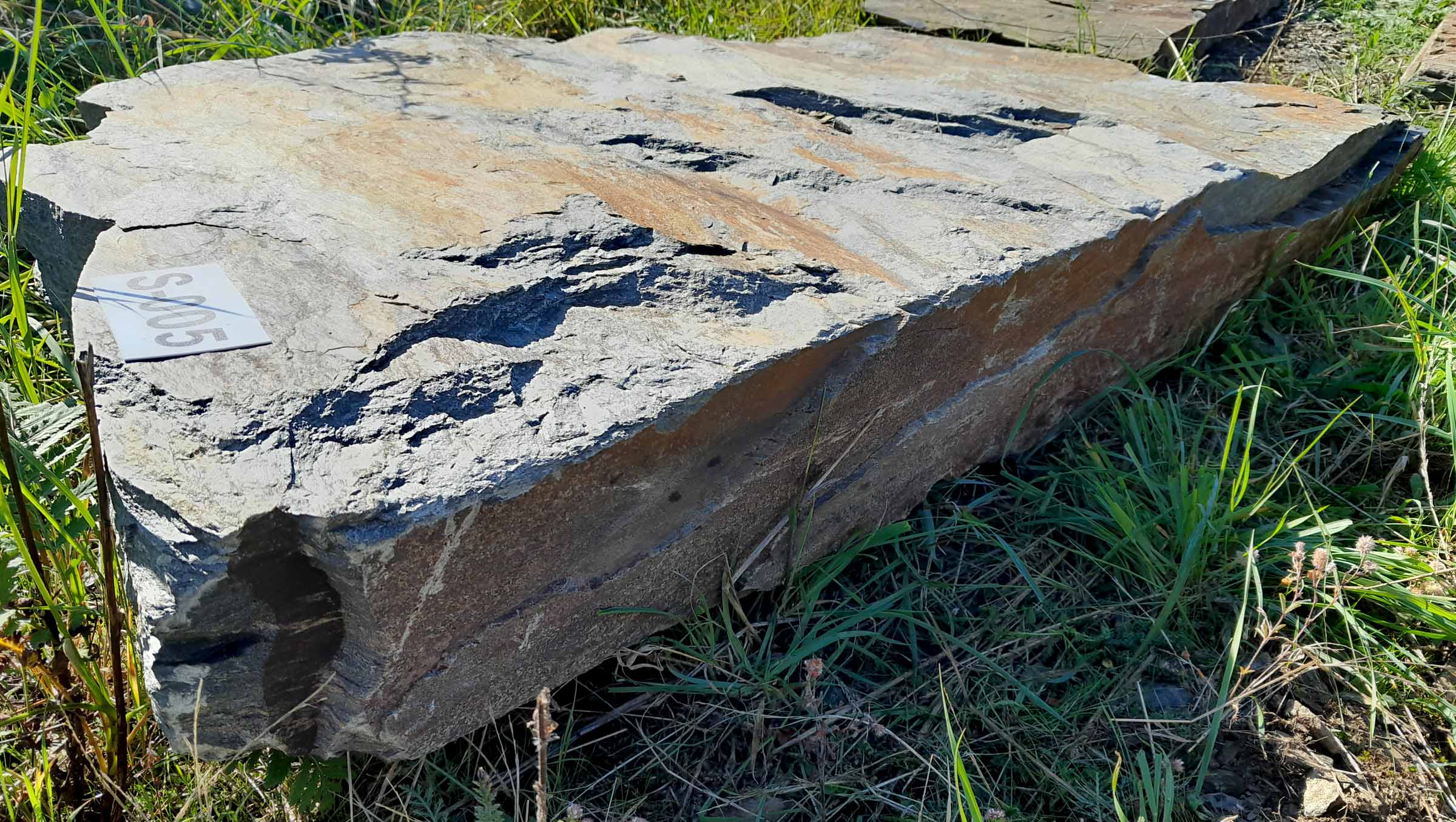 kamień schodowy S-005